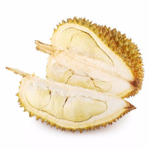 开云电竞app下载产品名称二